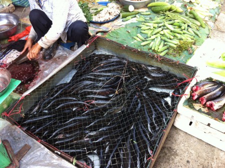 Poissons frais encore vivant 